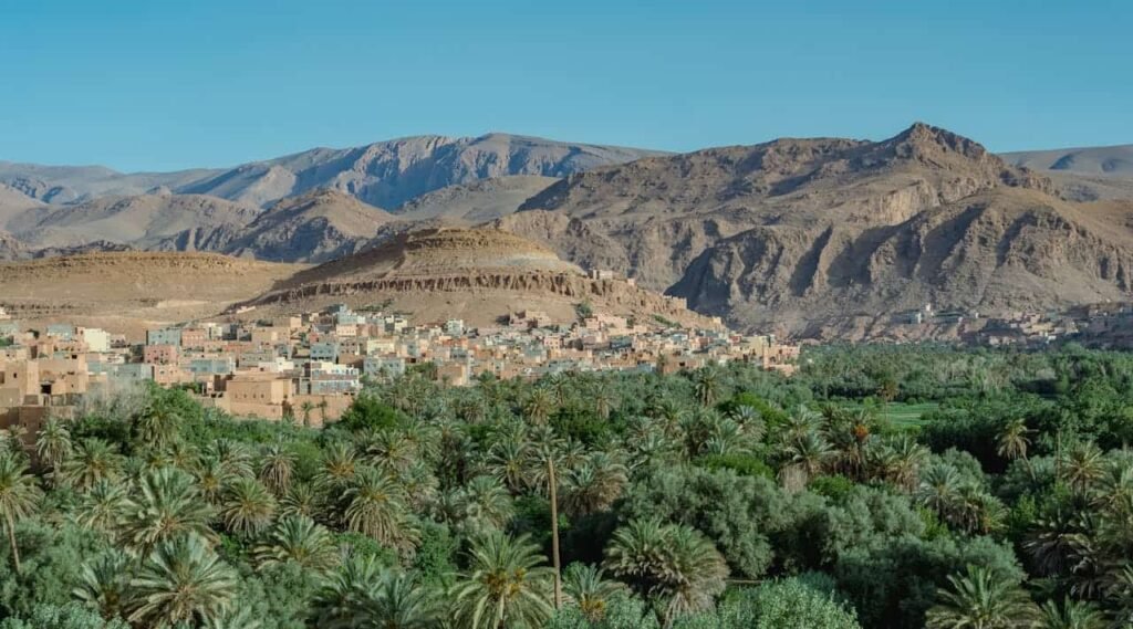 Contrasting views of High Atlas snow, Middle Atlas forests, and Anti-Atlas rocks